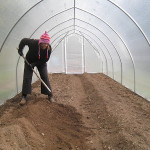 building the new greenhouse beds today