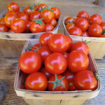 Tumbler tomatoes in containers, part 2