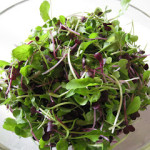 microgreens