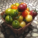 cherry tomatoes of many colours