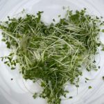 microgreens are good for ya!